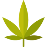CBD