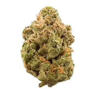 OG Kush Purple Green House
