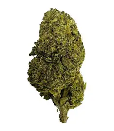 Green Crack 5g / 10g